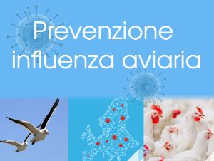 influenza-Aviaria2